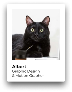 Albert - Graphic designer & Motion grapher