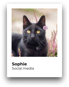 Sophie - Social Media manager