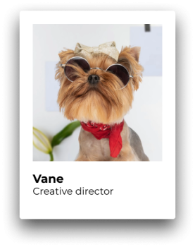 Vane - Creative Director